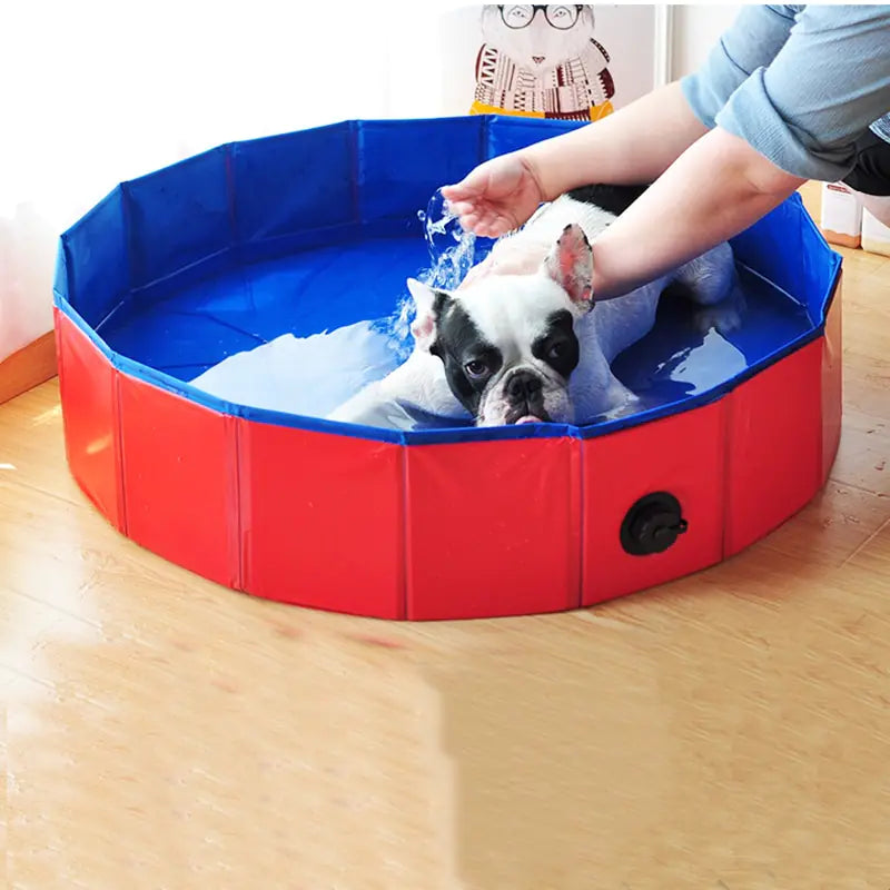 Portable Pet Swim & Bath Tub