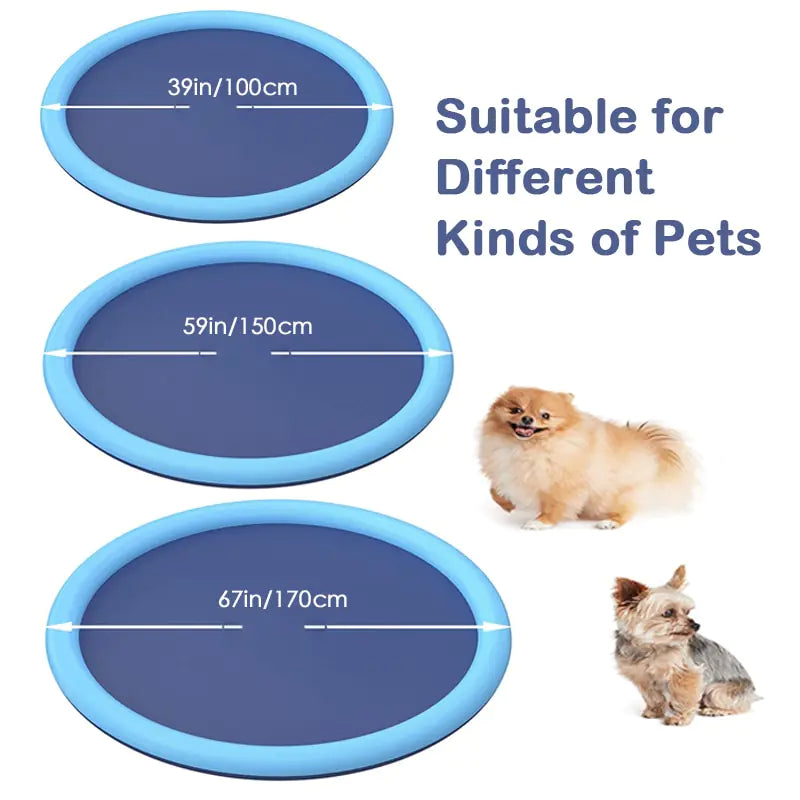 Backyard Fun Water Mat Kids and Pets